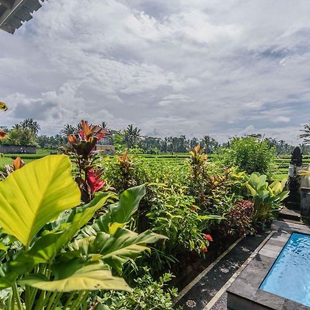 Pondok Anastasia Ubud  Exterior photo