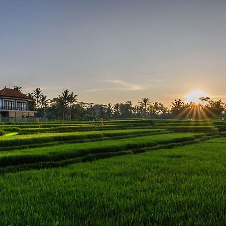 Pondok Anastasia Ubud  Exterior photo