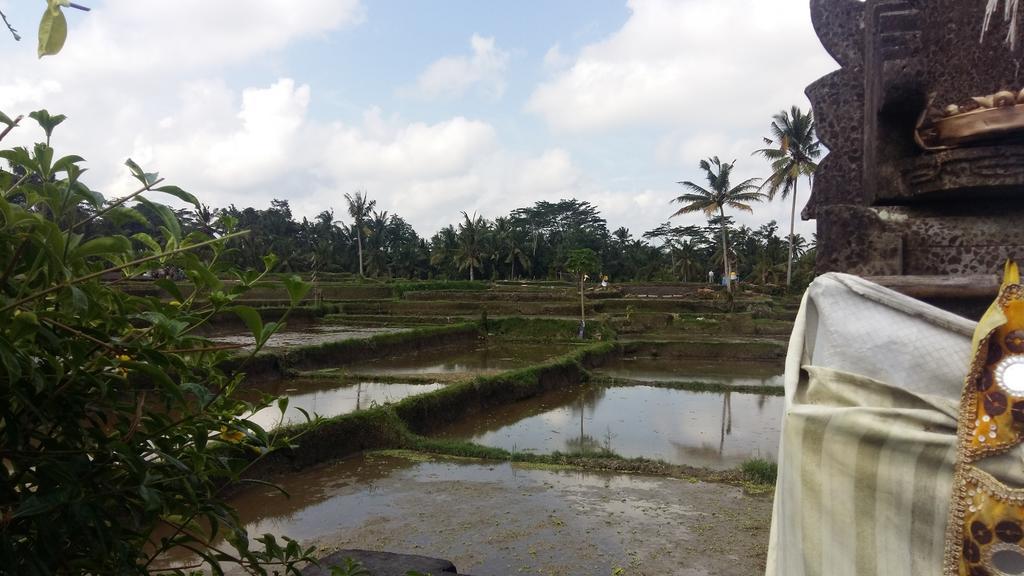Pondok Anastasia Ubud  Exterior photo