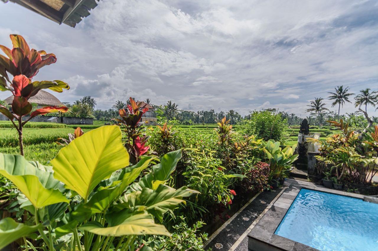Pondok Anastasia Ubud  Exterior photo